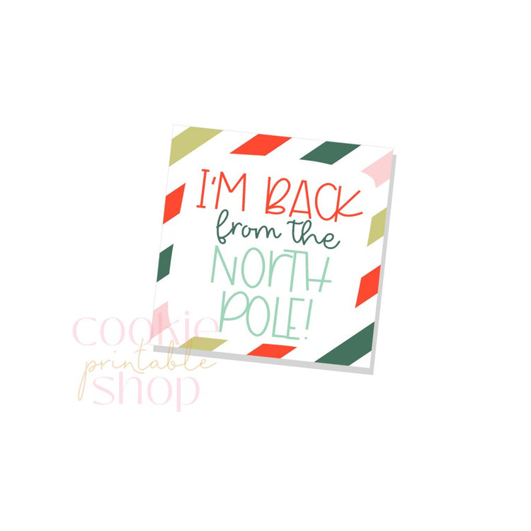 i'm back from the north pole tag - digital download