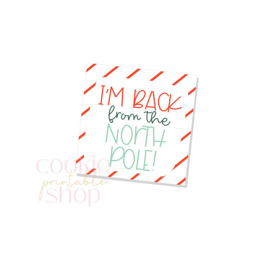 i'm back from the north pole tag - digital download